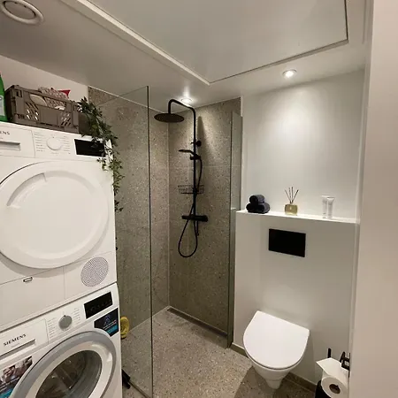 Apartment Nyrenoveret I Aalborg